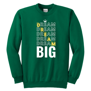 Dream Big Youth Sweatshirt - HBS Inspire Me