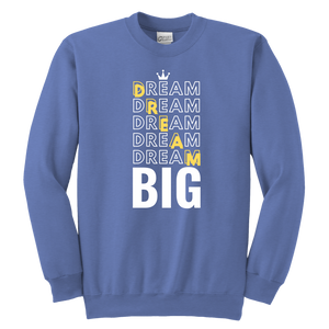 Dream Big Youth Sweatshirt - HBS Inspire Me