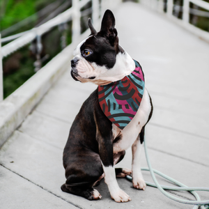 Pet Bandana