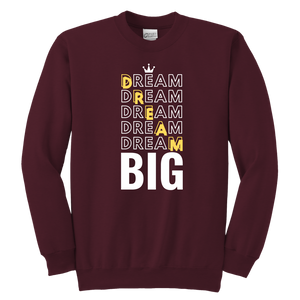 Dream Big Youth Sweatshirt - HBS Inspire Me