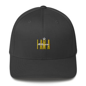 I Am A Millionaire 3D Puff Structured Twill Cap - HBS Inspire Me